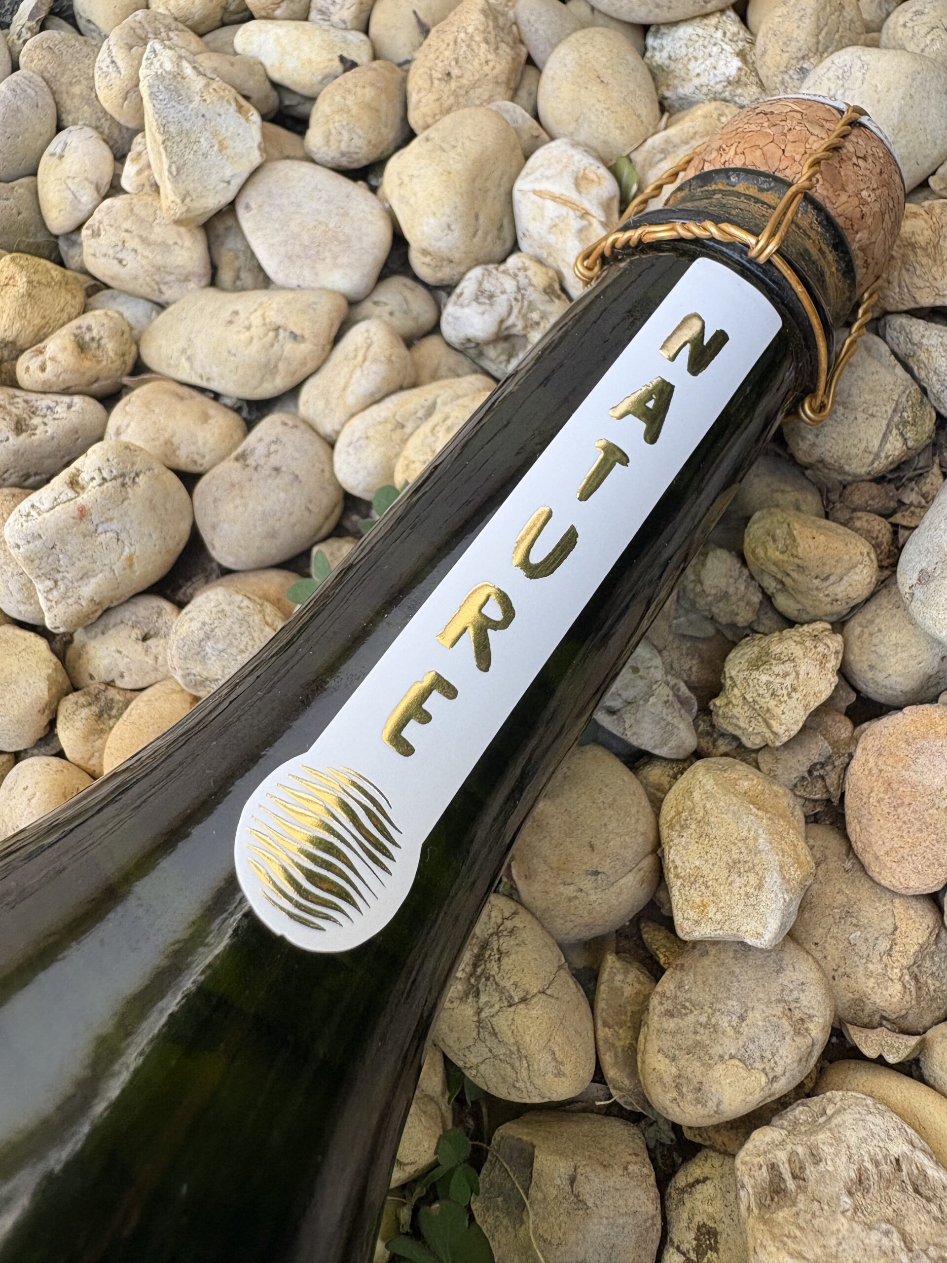 Pessoa brindando com CELEBRATE